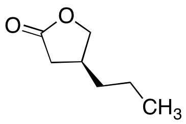 C4X-20071