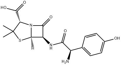 26787-78-0_阿莫西林