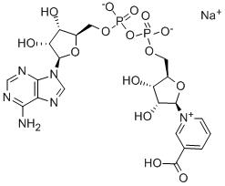 104809-30-5_DEAMIDO NAD SODIUM SALT標準品_Reference Standards