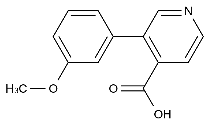 100004-80-6_3-(3-methoxyphenyl)pyridine-4-carboxylic acid